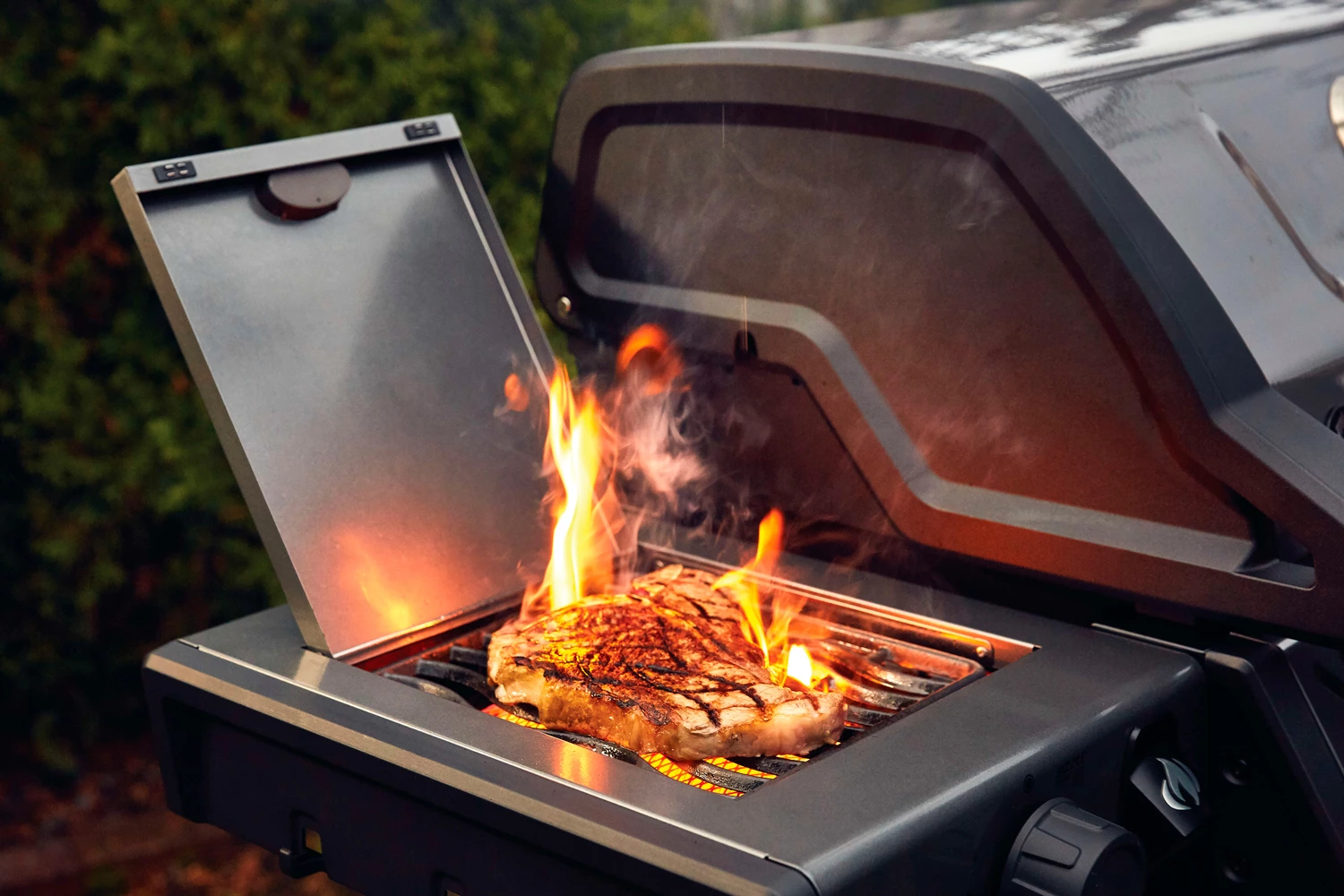 Napoleon Freestyle 365 Con Quemador Lateral Sizzle Zone - Imagen 17