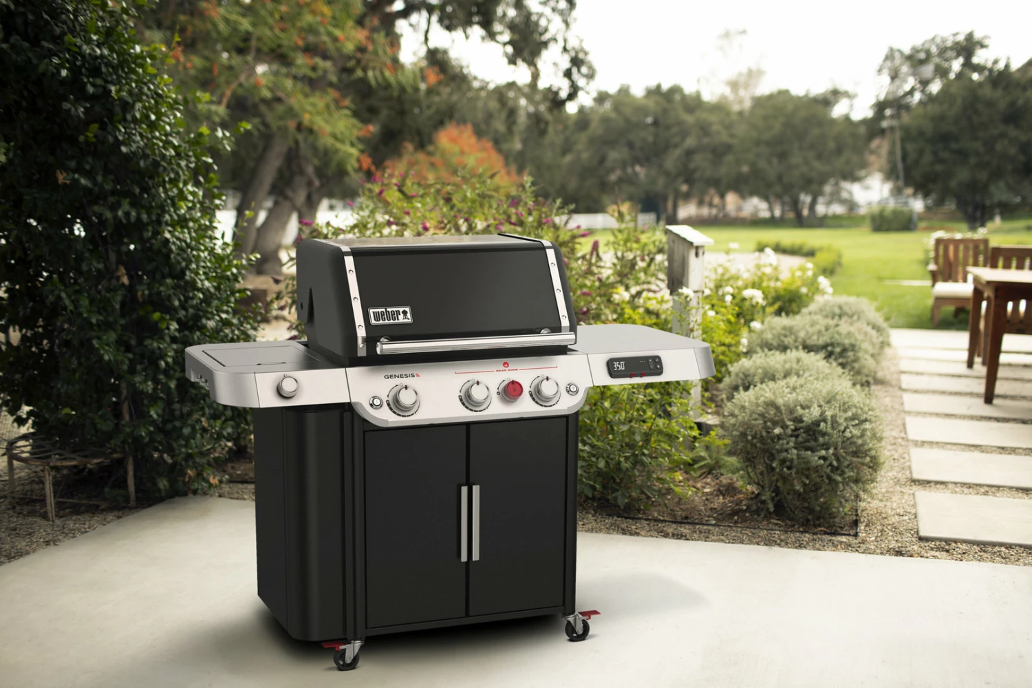 Weber Genesis EPX-335 Inteligente - Imagen 16