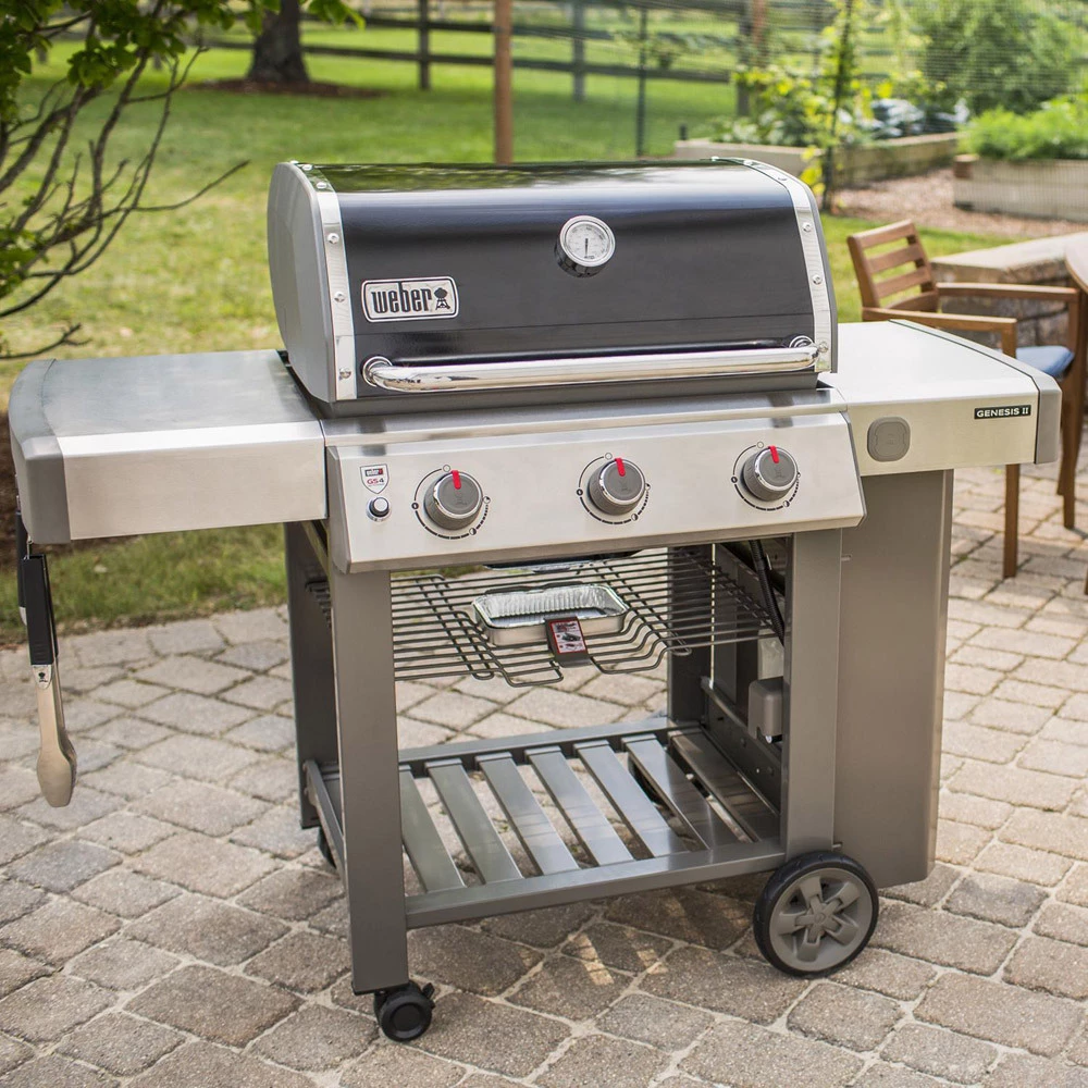 Weber Genesis II E-310 GBS Negra - Imagen 19