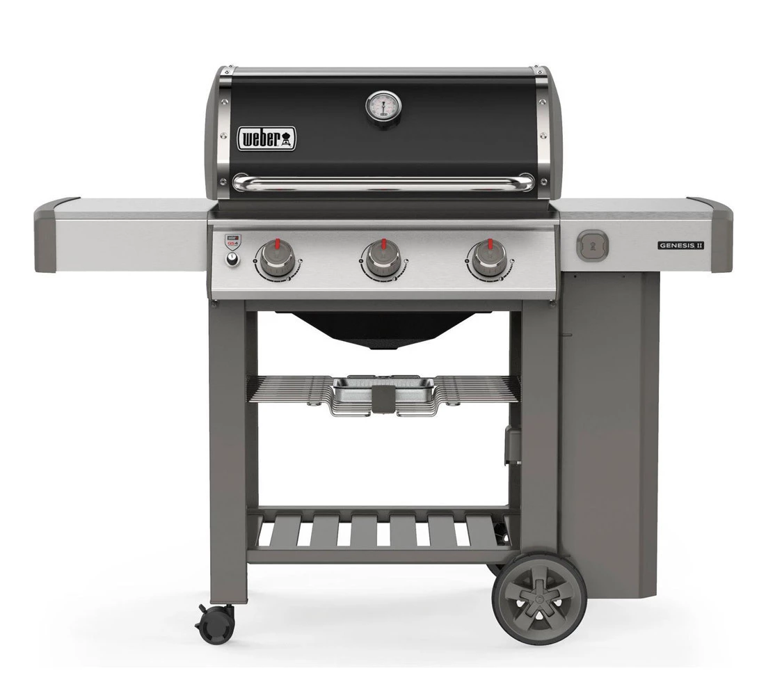 Weber Genesis II E-310 GBS Negra